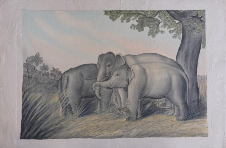 La Roche LAFFITTE - Peinture originale - Aquarelle - Le troupeau d'éléphants