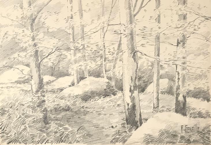 Alexandre Genaille - Dessin original - Crayon - Forêt de Fontainebleau 2