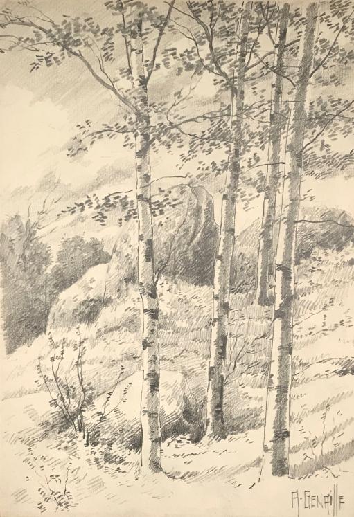 Alexandre Genaille - Dessin original - Crayon - Forêt de Fontainebleau 3