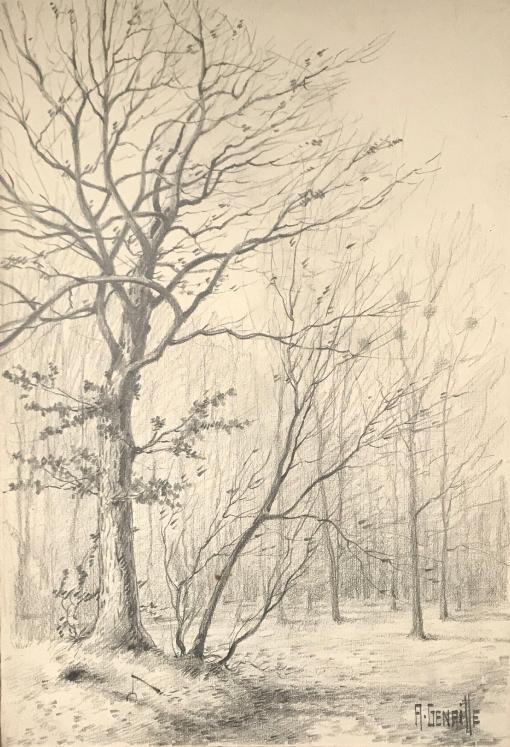 Alexandre Genaille - Dessin original - Crayon - Forêt de Fontainebleau 4