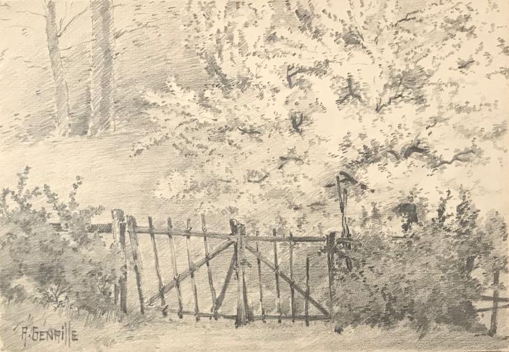 Alexandre Genaille - Dessin original - Crayon - Fond du jardin