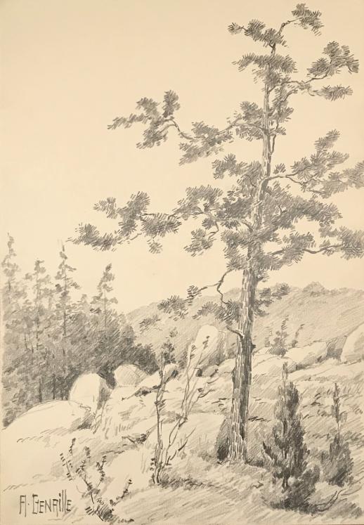 Alexandre Genaille - Dessin original - Crayon - Forêt de Fontainebleau 6